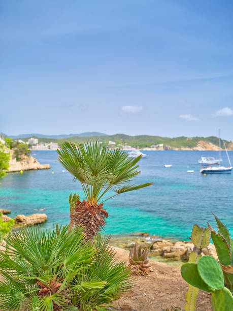 Beautiful coastal scenery featuring a tropical bay in Majorca, Spain. The image showcases clear turquoise waters, rocky shores, and lush greenery, encapsulating the serene and vibrant beauty of Mediterranean landscapes.