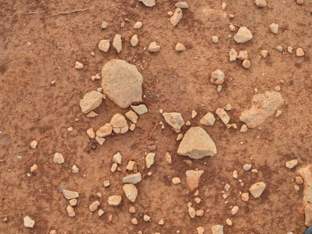 A detailed view of dry, earthy terrain with scattered rocks and stones. This textured scene showcases the natural, rugged landscape commonly found in Majorca, Spain, with its warm and earthy tones.