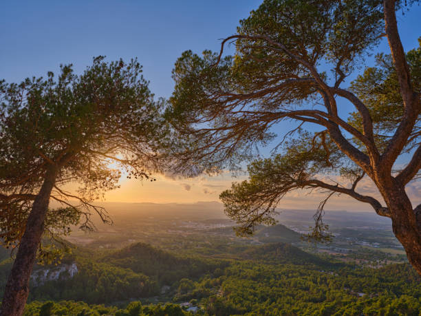 Scenic landscape showcasing Mallorca's natural beauty during sunset, with a panoramic view of Spain's serene countryside framed by trees.