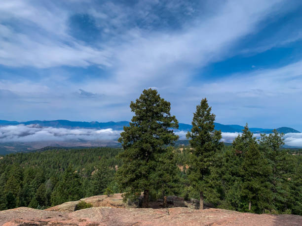 istock Cliff Edge With Pine Trees, And Mountains In Cloudy Sky 2198067355