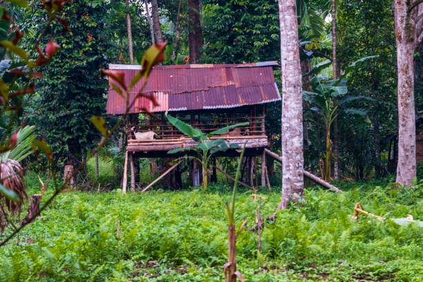istock Le village de Bukit Lawang 2198071961