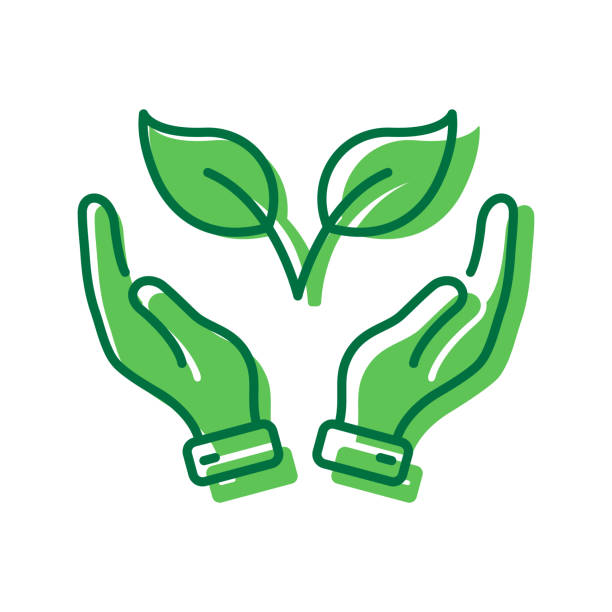 istock Green Hand Hold Organic Leaf Icon. Germinating Eco-Agriculture Symbol. Cultivation Greenery Ecology Plant Pictogram. Editable Stroke. Isolated Vector Illustration 2198072507