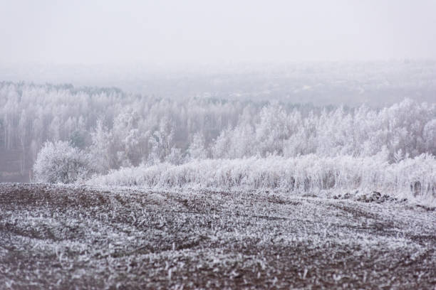 istock Landscape with trees in frost 2198077168
