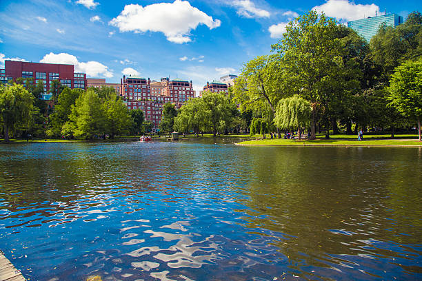 istock Tranquil park with a serene lake under a bright blue sky during a sunny day 2198084227
