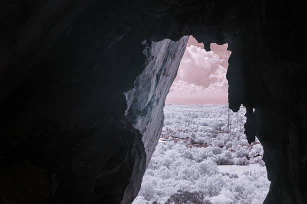istock Infrared color, a view from inside a cave looking out toward a landscape filled with trees 2198088342