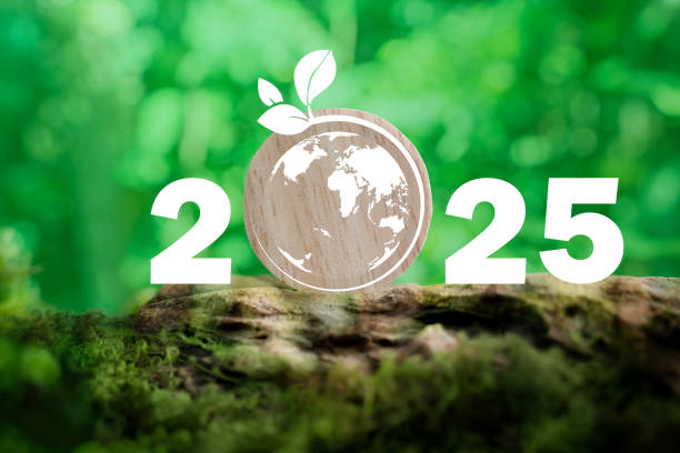 istock New Goals, Plans and Visions for Next Year 2025. Sustainable environment development goals, green business. 2198089703