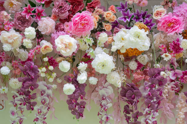 istock Colorful pink and white flowers on a white background 2198091717