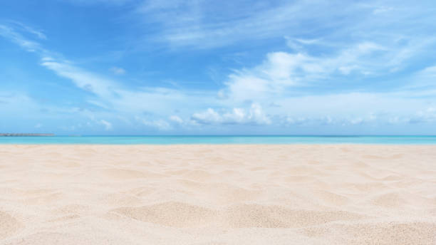 istock Empty sand beach with tropical sea and sunny blue sky copy space scene 2198091819