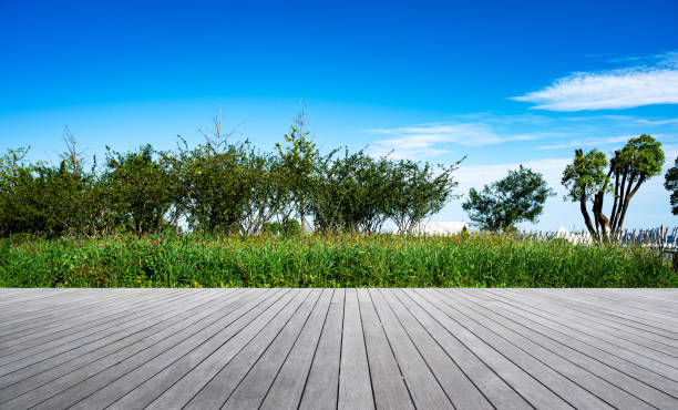 istock Boardwalk beside garden flowerbed 2198094241