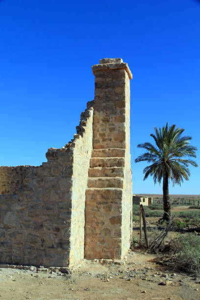 Dalhousie Homestead Ruins