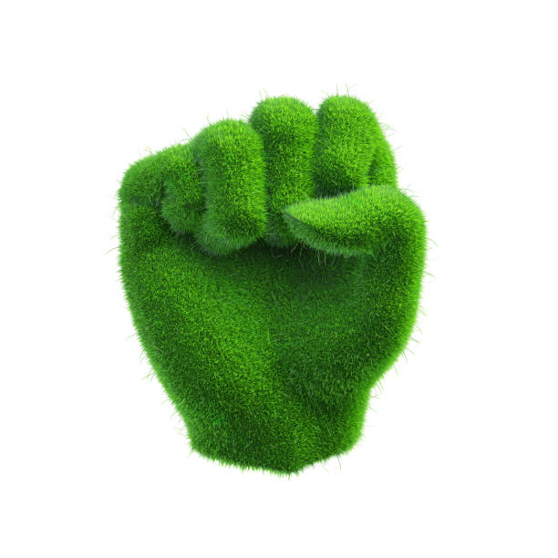 istock 3D Fist or punch hand symbol shape green grass on white background. Grass material object. Global nature conservation, planting or pure natural energy. world ecology. clipping path. 3D Illustration. 2198102815