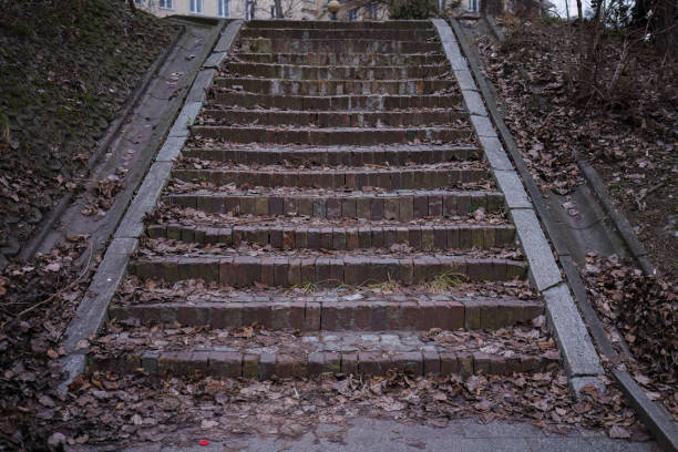 Old brick stairway covered with autumn leaves