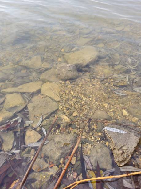 istock A body of water with rocks and a beach 2198109222