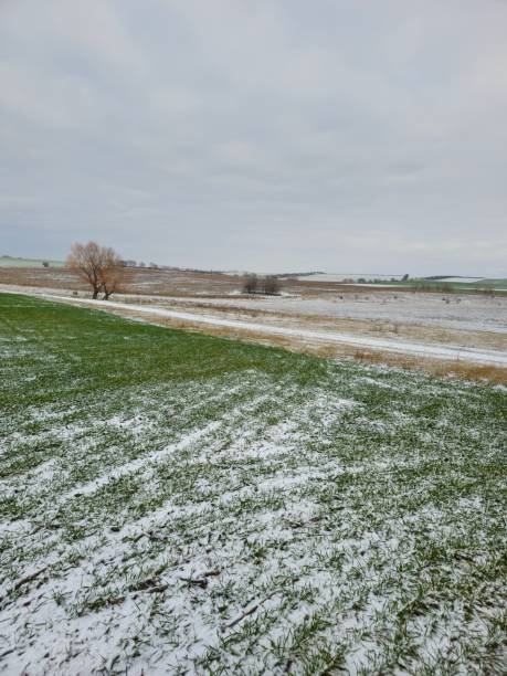 istock A field of snow 2198109265