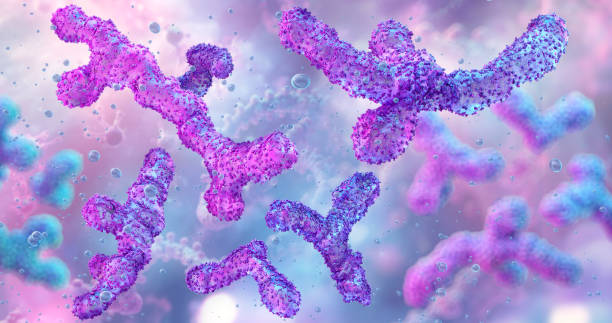 istock Bifidobacterium beneficial bacteria. Balanced microbiome, human gut health, digestion, immunity. 2198118003