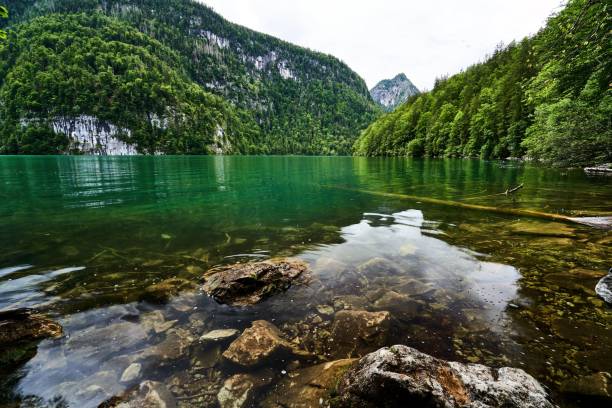 Scenic view of a clear lake with rocky shore and lush green forested mountains in the background under a cloudy sky.