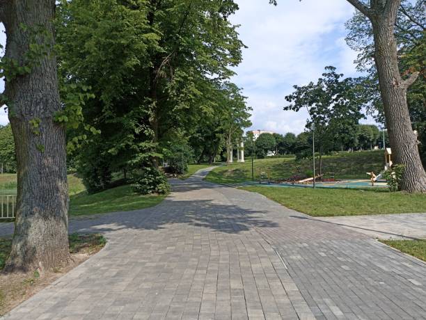 A park with a paved path leading along the trees.