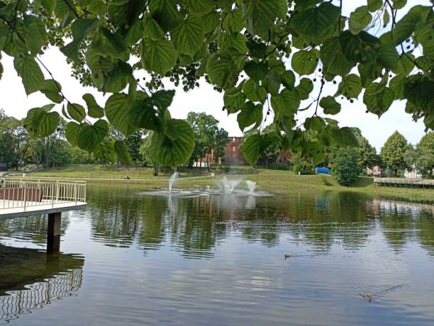 istock a pond with fountains surrounded by green trees 2198120041