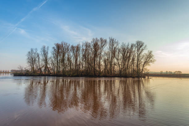 Silhouettes of bare trees reflected in the water of a small lake. It is the end of a sunny day in the Dutch winter season.