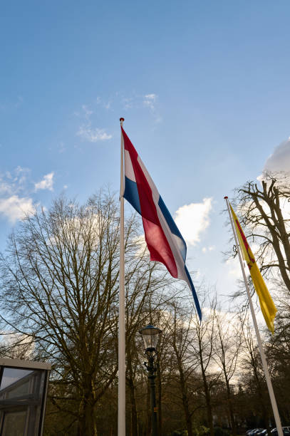 Dutch tricolor flag flying on tall pole with bare trees and street lamp in background during daytime against blue sky with white clouds