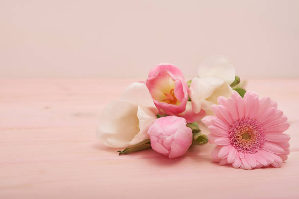 Valentine's day composition with flowers. Valentine card. Greeting card template. Space for text. Concept of Happy Valentine's day. Mother's day card. Spring flowers on pink background
