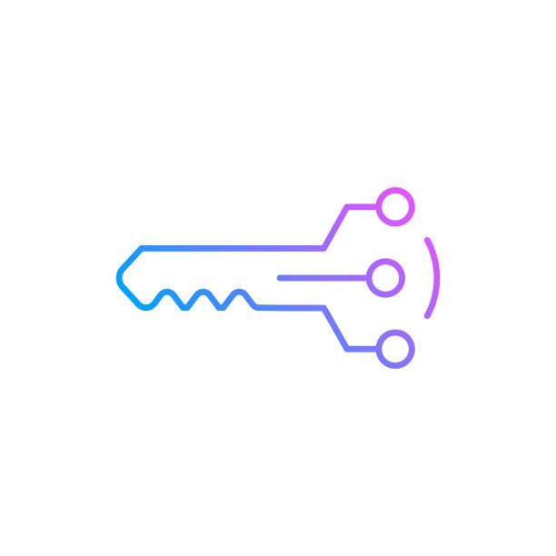 ikona barevné čáry přechodu privátního klíče. ikona je vhodná pro webdesign, mobilní aplikace, ui, ux a gui design. - klíč stock ilustrace