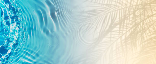 istock abstract sand beach from above with blue transparent water wave and palm leaf shadow, beautiful nature scene background banner with copy space for travel destination, vacation and body care 2198126589