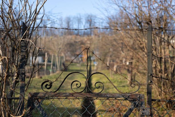 Old garden on a slope with a rusty garden gate with ornaments in the foreground. Close-up in the evening sun, taken in February near Stuttgart, Germany.