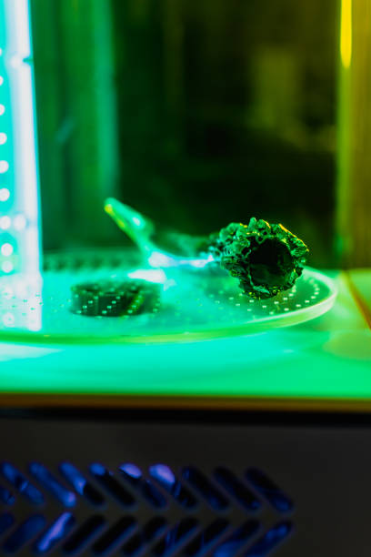 3d resin printing of a deer antler turning in a cure machine using UV light