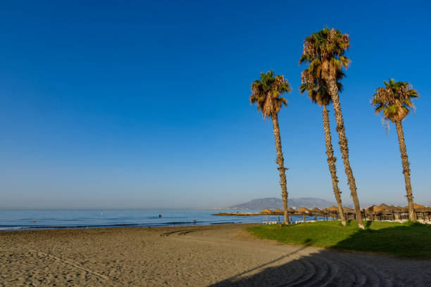Malaga, Spain - August 06, 2024: Playas de Pedregalejo in Malaga, Spain