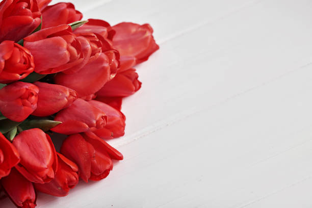 Spring flowers. Bouquet of red tulips. Greeting card for Mother's Day, Valentine's Day, Happy Birthday!