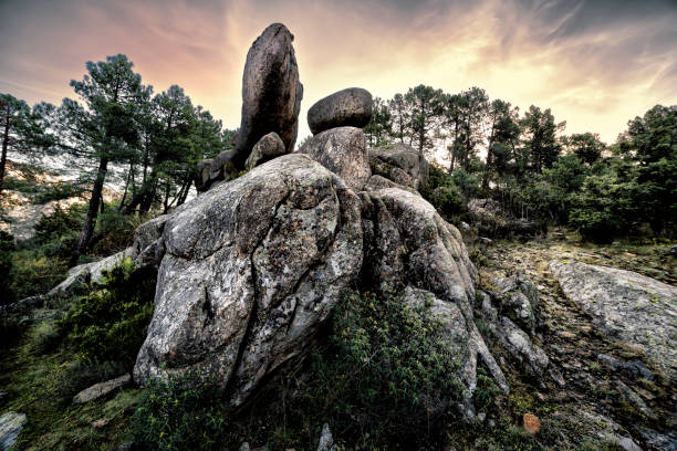 Riscos de granito y pinos en La Pedriza al amanecer. Sierra de Guadarrama. Madrid.