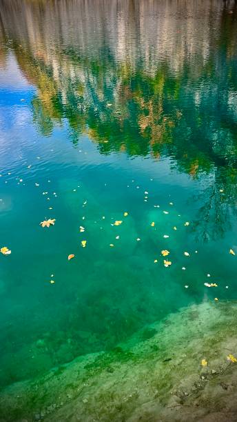 istock Rocks and trees reflected in the blue surface of a mountain lake 2198145536
