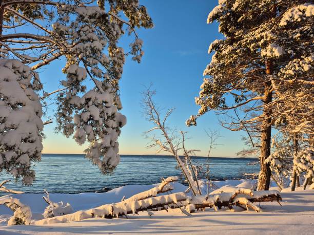 istock Winter sea and forest 2198146250