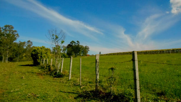 istock green landscapes with blue sky 2198147083