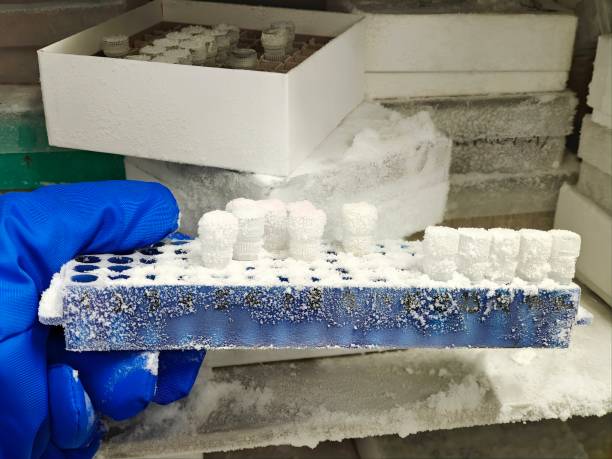 istock Science.. Biological samples frozen in an ultra-freezer. 2198147213
