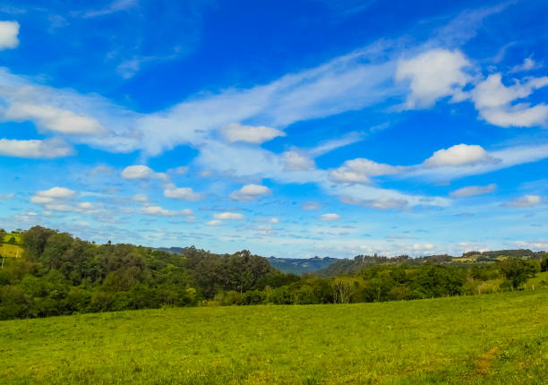 Wide tranquil landscape of blue sky over green lush valley in summer mountains