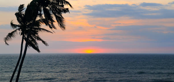 istock Sea, palm tree silhouette and bright sunset. Concept - vacation and travel. 2198147625