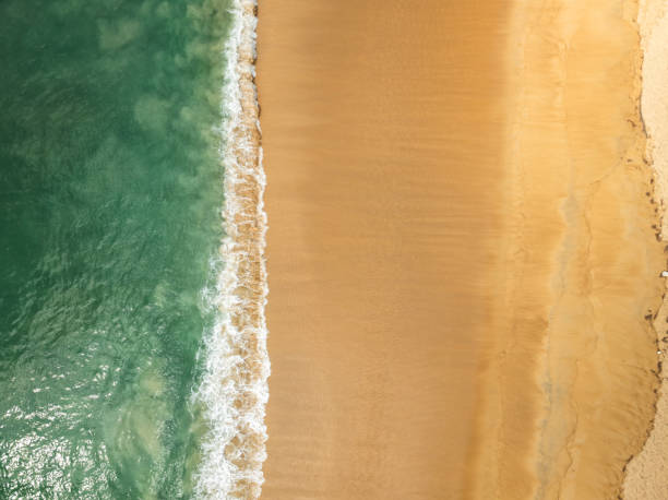 istock Aerial view Beach waves crashing on sandy shore 2198147989
