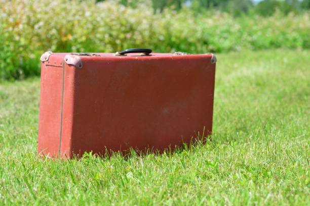 Old red suitcase standing on green grass. Vintage luggage with black handle on grass background.