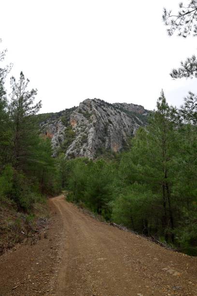 istock Rural gravel road 2198155882