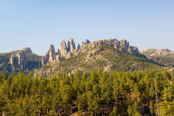 istock Needles at Black Hills Scenic View 2198163311