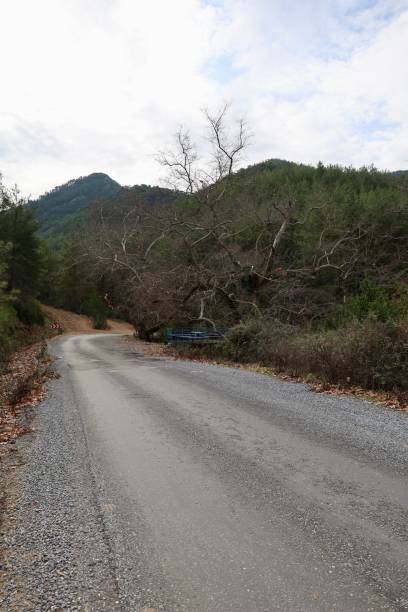 istock Rural gravel road 2198164008