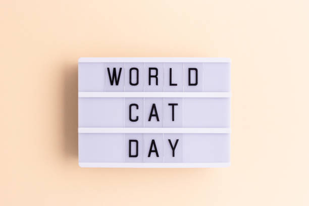 istock Lightbox with quote World cat day. 2198164909