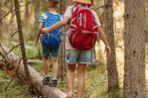 istock Boy and girl with backpacks balancing on the fallen tree trunk in the forest. 2198167593