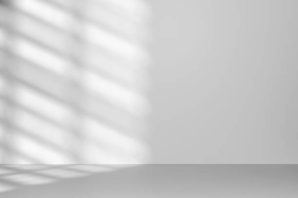 istock Abstract white studio background for product presentation. Empty room with shadows of window and blind. 3d room with copy space. Summer and spring concept. Blurred backdrop. 2198170151