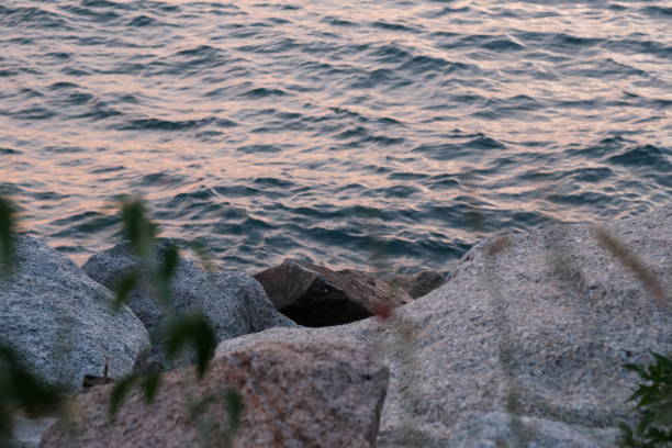 The sea, the rocks, the waves, the sunset.