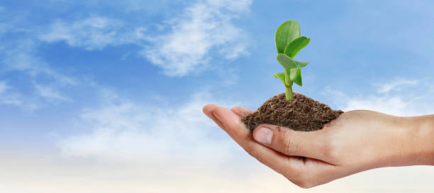 istock Hand plant trees for sustainability 2198174737