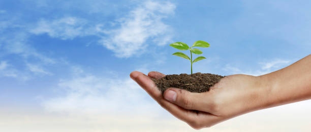 istock Hand plant trees for sustainability 2198174745
