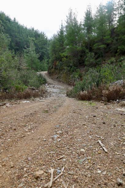 istock Rural gravel road 2198174963
